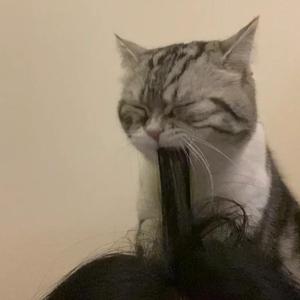 欧美性爱视频jizz
